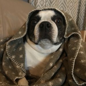 Meet your Posher, Makenna